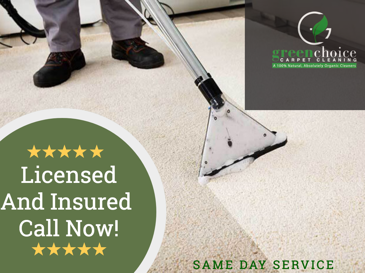 Carpet Cleaning Queens NY 15 OFF Carpet & Rug Cleaning